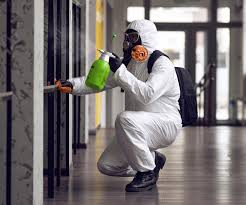 Best Mold Remediation for Healthcare Facilities in Pomeroy, WA